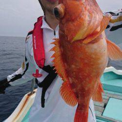 シードリーム 釣果