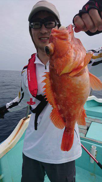 シードリーム 釣果