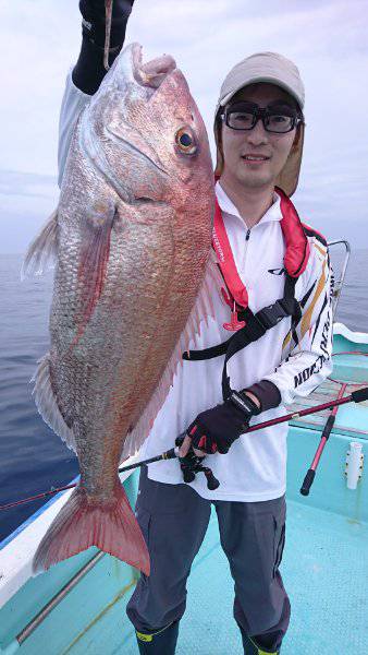 シードリーム 釣果