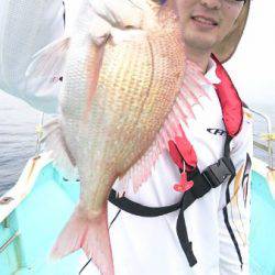 シードリーム 釣果