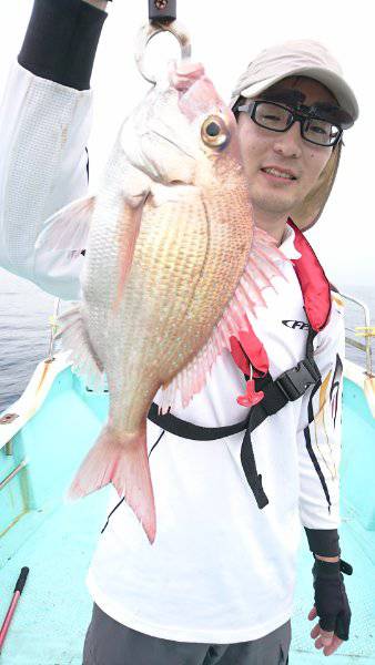 シードリーム 釣果