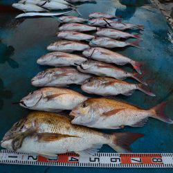 アジアマリンサービス 釣果