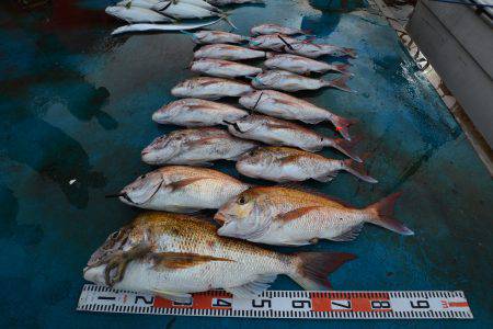 アジアマリンサービス 釣果
