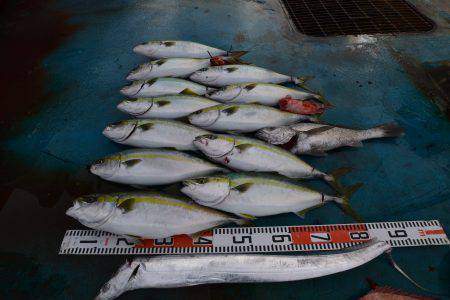 アジアマリンサービス 釣果