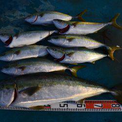 アジアマリンサービス 釣果