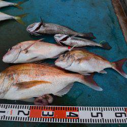 アジアマリンサービス 釣果