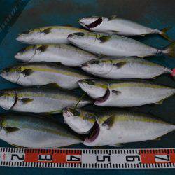 アジアマリンサービス 釣果