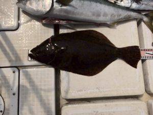 さぶろう丸 釣果