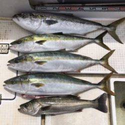 さぶろう丸 釣果