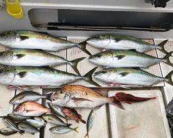 さぶろう丸 釣果