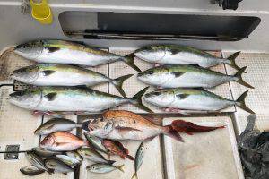 さぶろう丸 釣果