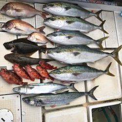 さぶろう丸 釣果