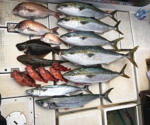 さぶろう丸 釣果