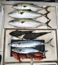 さぶろう丸 釣果