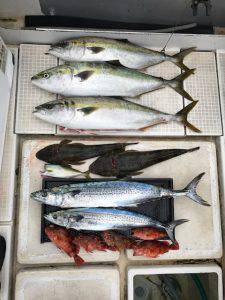 さぶろう丸 釣果