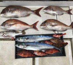 さぶろう丸 釣果