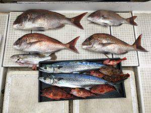 さぶろう丸 釣果