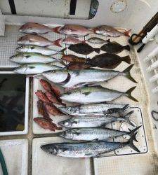 さぶろう丸 釣果