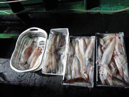 海宝丸 島根 釣果