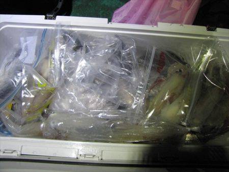 海宝丸　島根 釣果