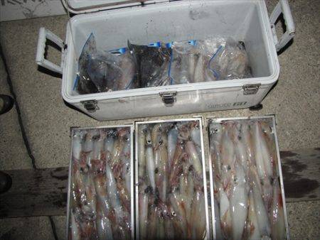 海宝丸　島根 釣果