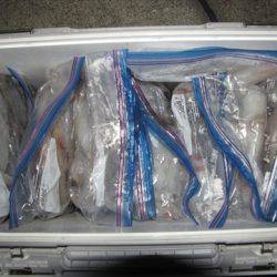 海宝丸 島根 釣果