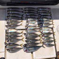 さぶろう丸 釣果