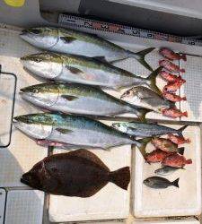 さぶろう丸 釣果