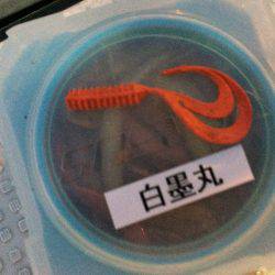 白墨丸 釣果
