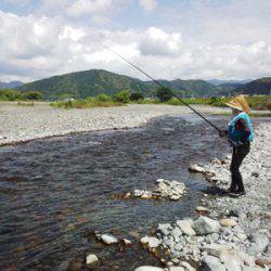 安倍川・藁科川(安倍藁科川漁業協同組合) 釣果