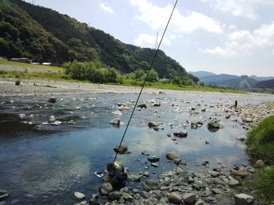 安倍川・藁科川（安倍藁科川漁業協同組合） …