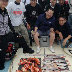 リトルワン 釣果