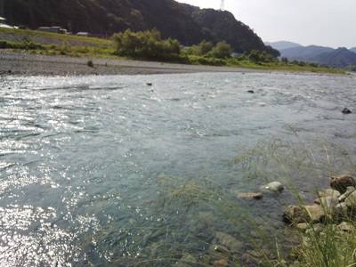 安倍川・藁科川（安倍藁科川漁業協同組合） …