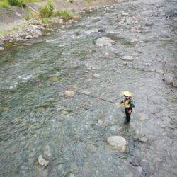 安倍川・藁科川(安倍藁科川漁業協同組合) 釣果