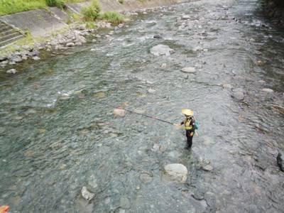 安倍川・藁科川（安倍藁科川漁業協同組合） …