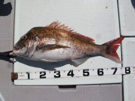 Aquanaut(アクアノート) 釣果