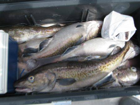 Aquanaut(アクアノート) 釣果