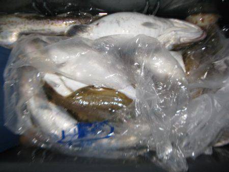 Aquanaut(アクアノート) 釣果