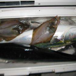 Aquanaut(アクアノート) 釣果