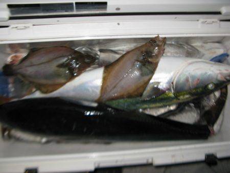 Aquanaut(アクアノート) 釣果