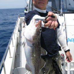 Aquanaut（アクアノート） 釣果