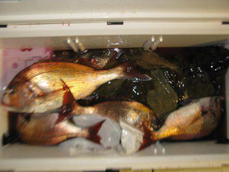 Aquanaut（アクアノート） 釣果