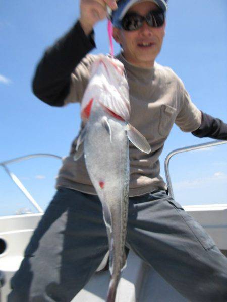 Aquanaut(アクアノート) 釣果