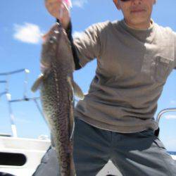 Aquanaut(アクアノート) 釣果