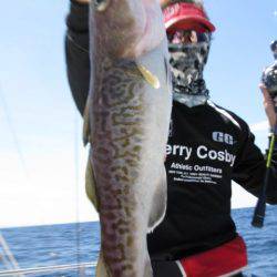 Aquanaut(アクアノート) 釣果