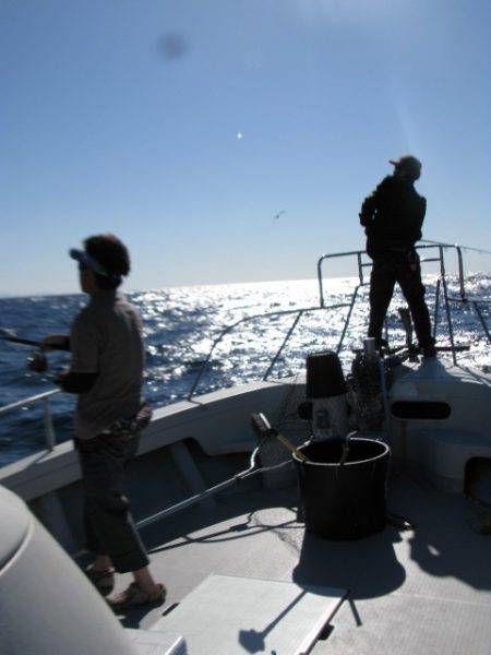 Aquanaut(アクアノート) 釣果