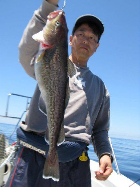 Aquanaut(アクアノート) 釣果