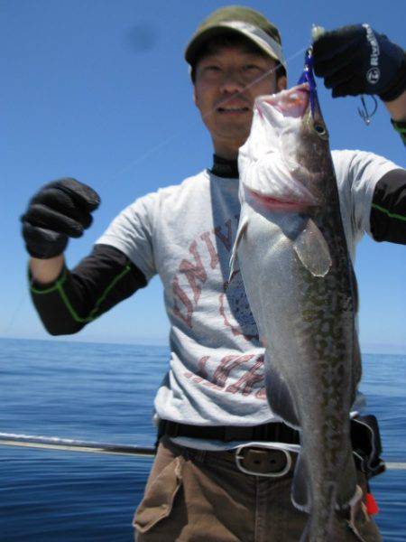 Aquanaut(アクアノート) 釣果