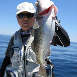 Aquanaut(アクアノート) 釣果