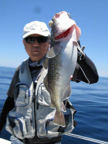 Aquanaut(アクアノート) 釣果